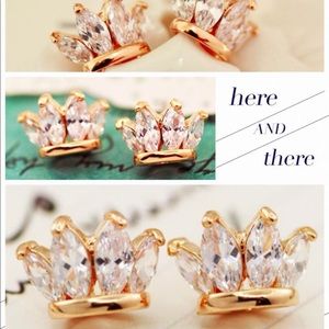 silver ear studs